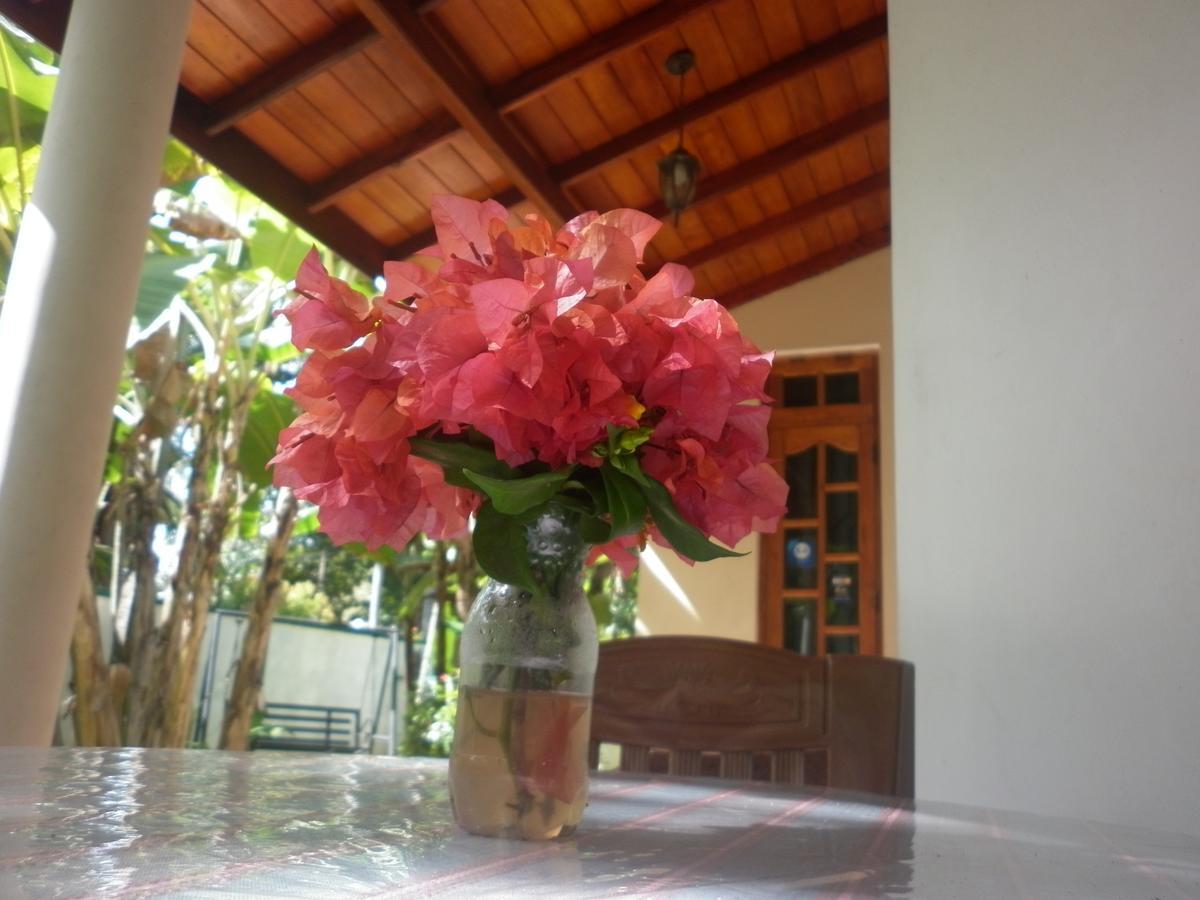 Binara Home Stay Polonnaruwa Esterno foto